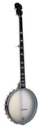 long neck banjos for sale